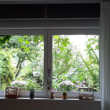 Ferienwohnung Hering In Dill Екстер'єр фото