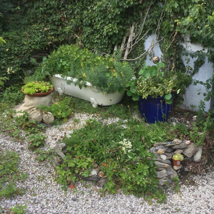 Ferienwohnung Hering In Dill Екстер'єр фото