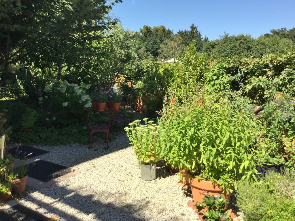 Ferienwohnung Hering In Dill Екстер'єр фото