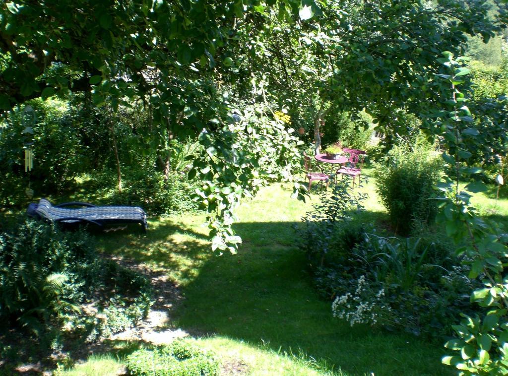 Ferienwohnung Hering In Dill Номер фото
