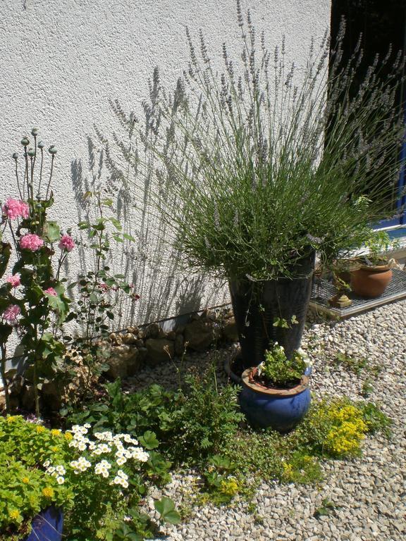 Ferienwohnung Hering In Dill Номер фото